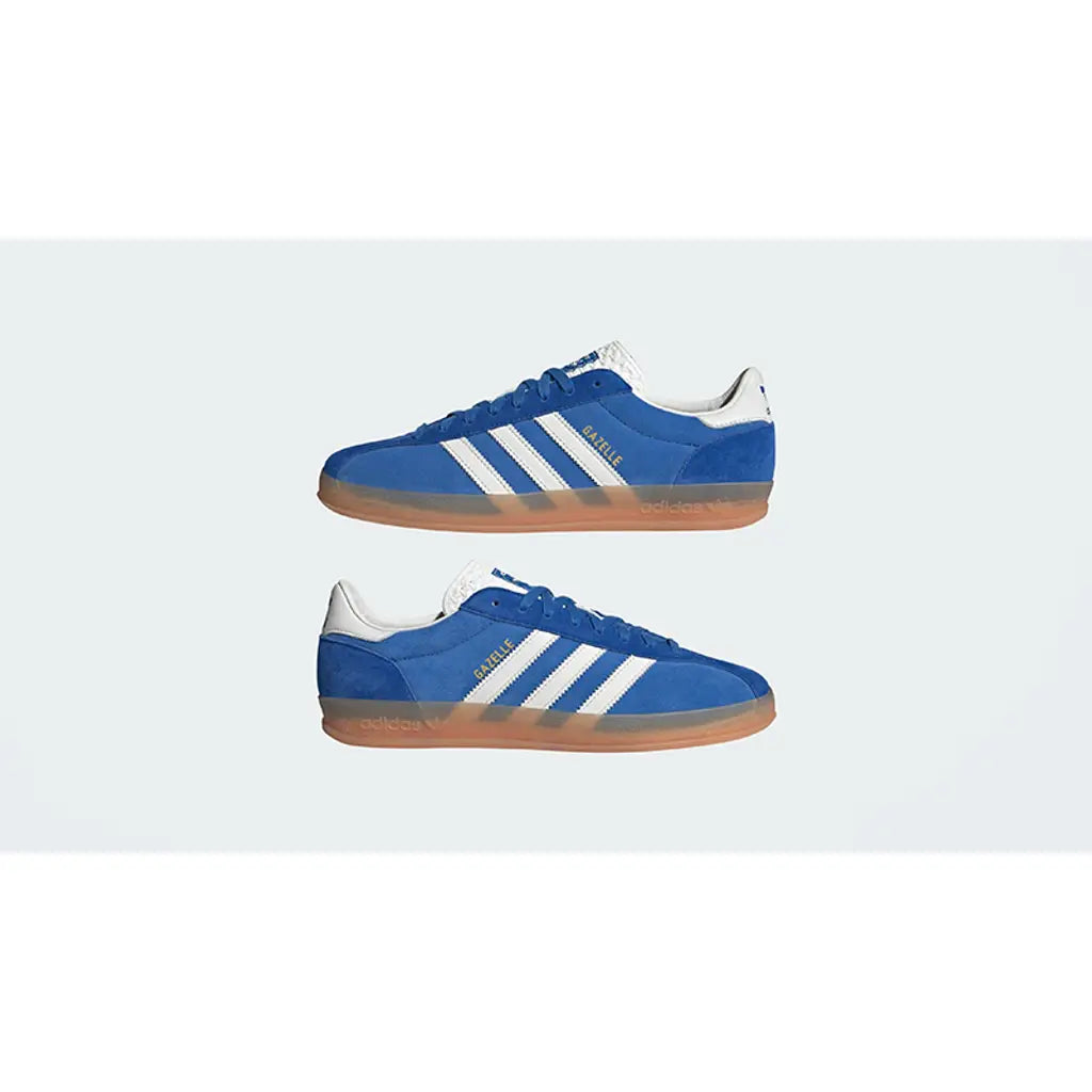Gazelle Indoor - Pro Blue