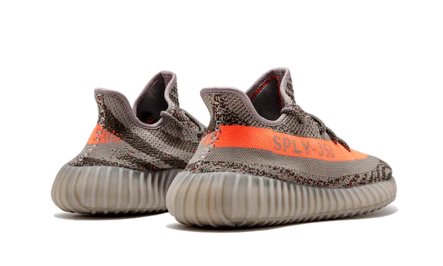 Sply 35 2025 beluga 2.